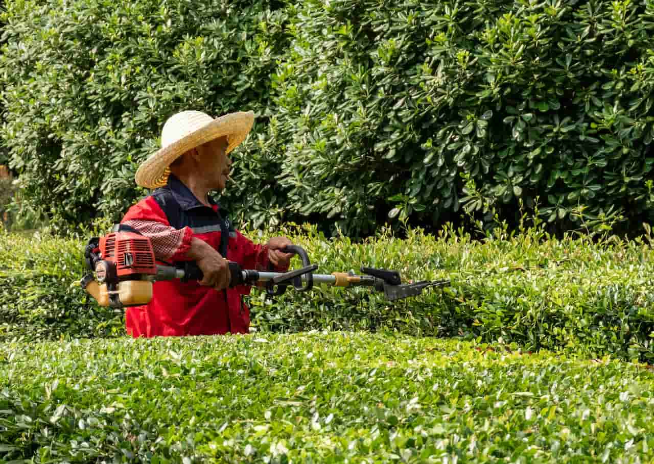 The Best Cordless Hedge Trimmers UK - 5 Models Tested for Power, Reach ...